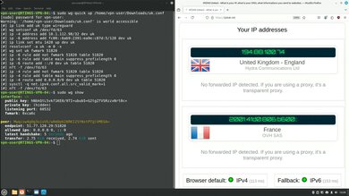 MEGA VPN Headless WireGuard Connection Screenshot