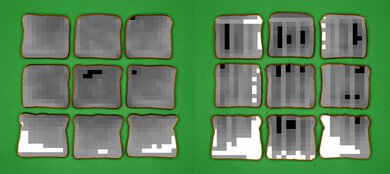 Ninja Foodi DT201 Processed Toast Picture