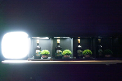 Panasonic LUMIX ZS300 Dynamic Range Scene