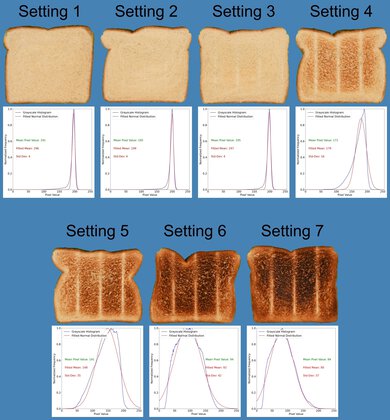 Wolf Gourmet Four Slice Toaster Toasting Range Photo
