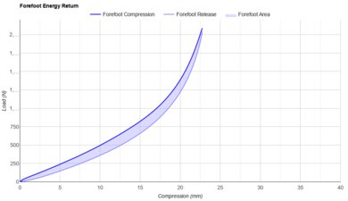ASICS SONICBLAST Forefoot Energy Return