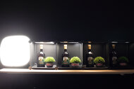 Nikon Z 5II Dynamic Range Scene