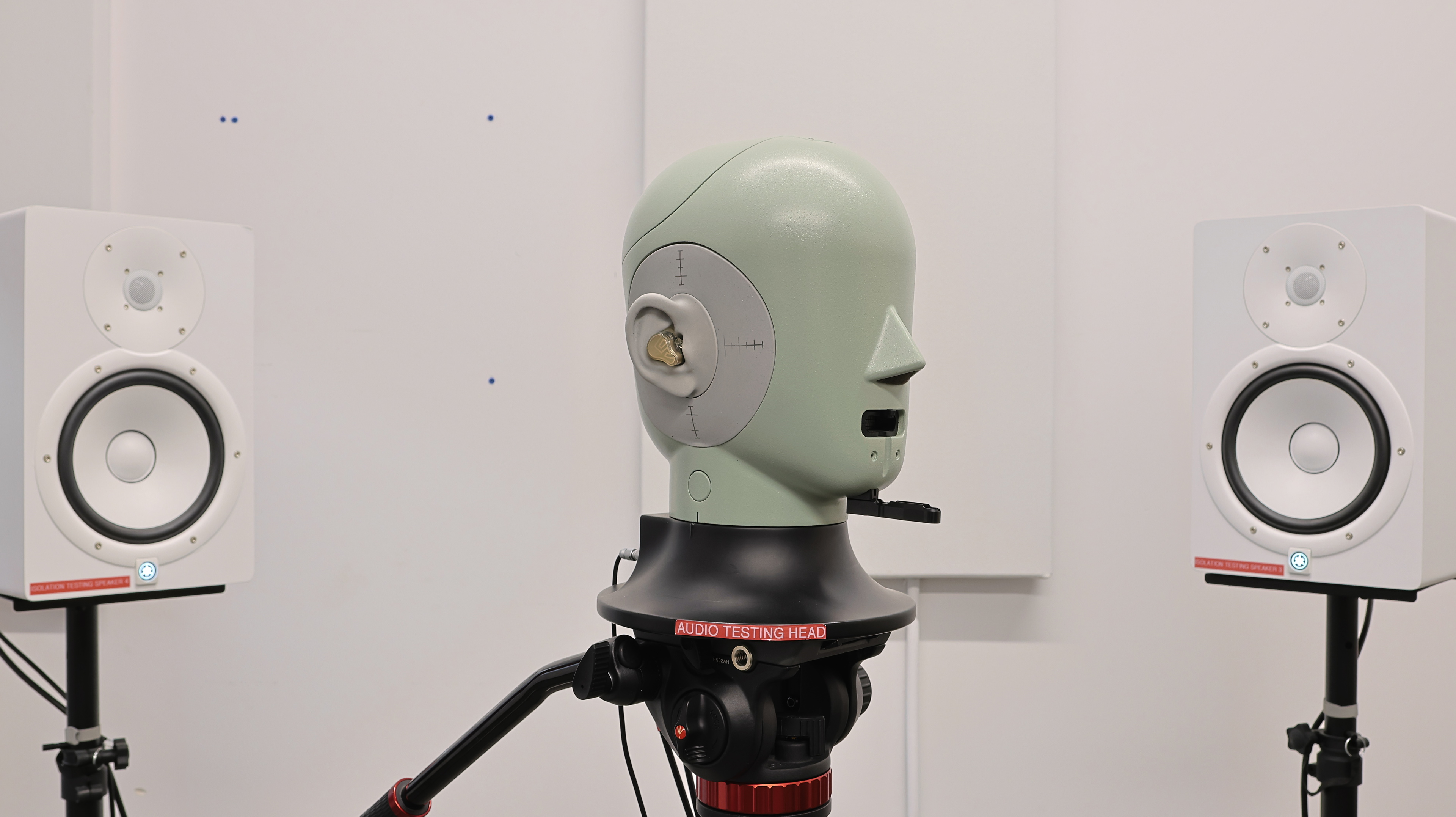 perceptual testing image