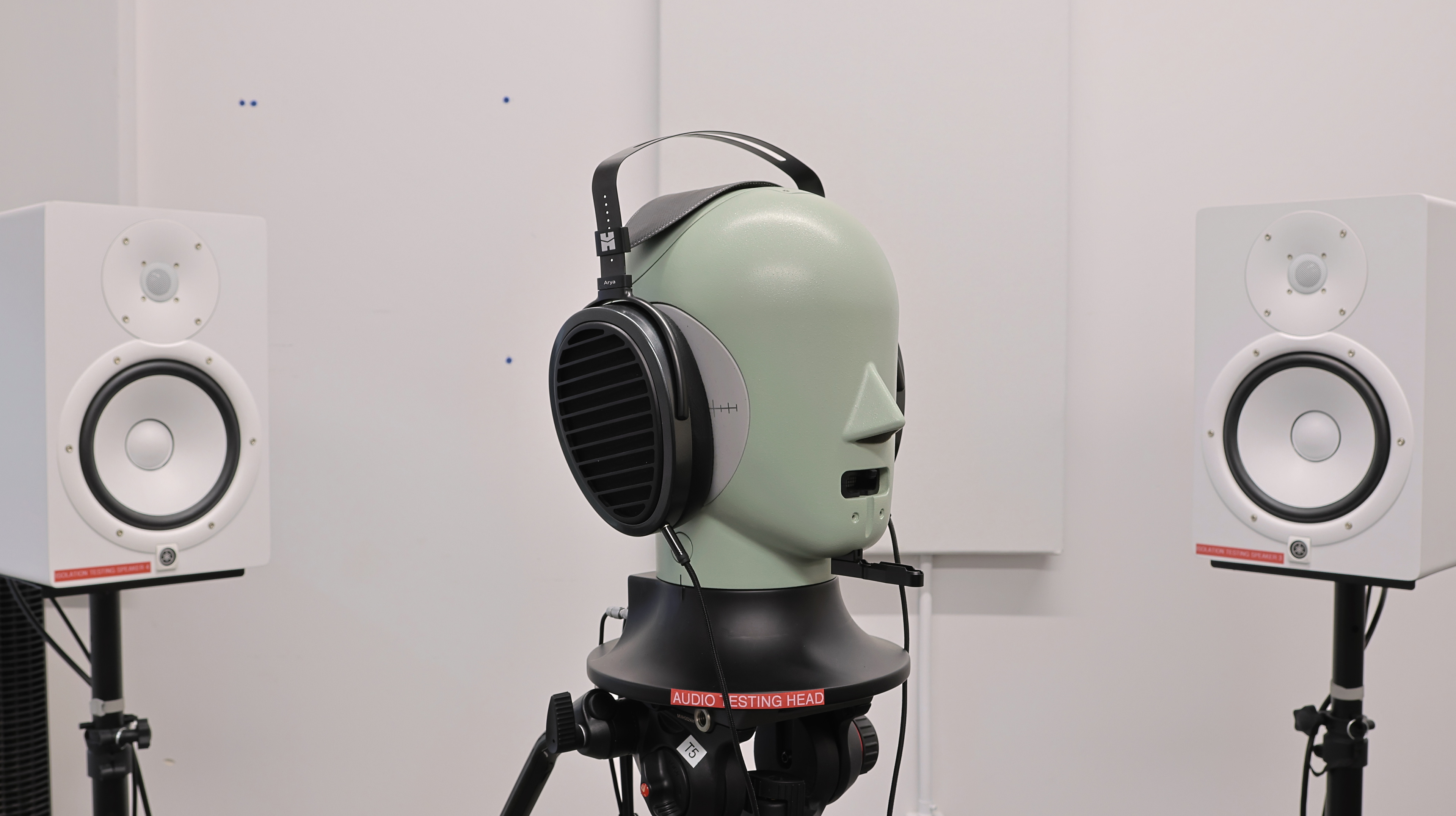 perceptual testing image