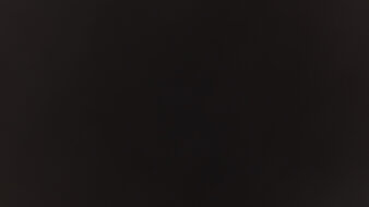 Dell G2524H Black Level Raise Picture