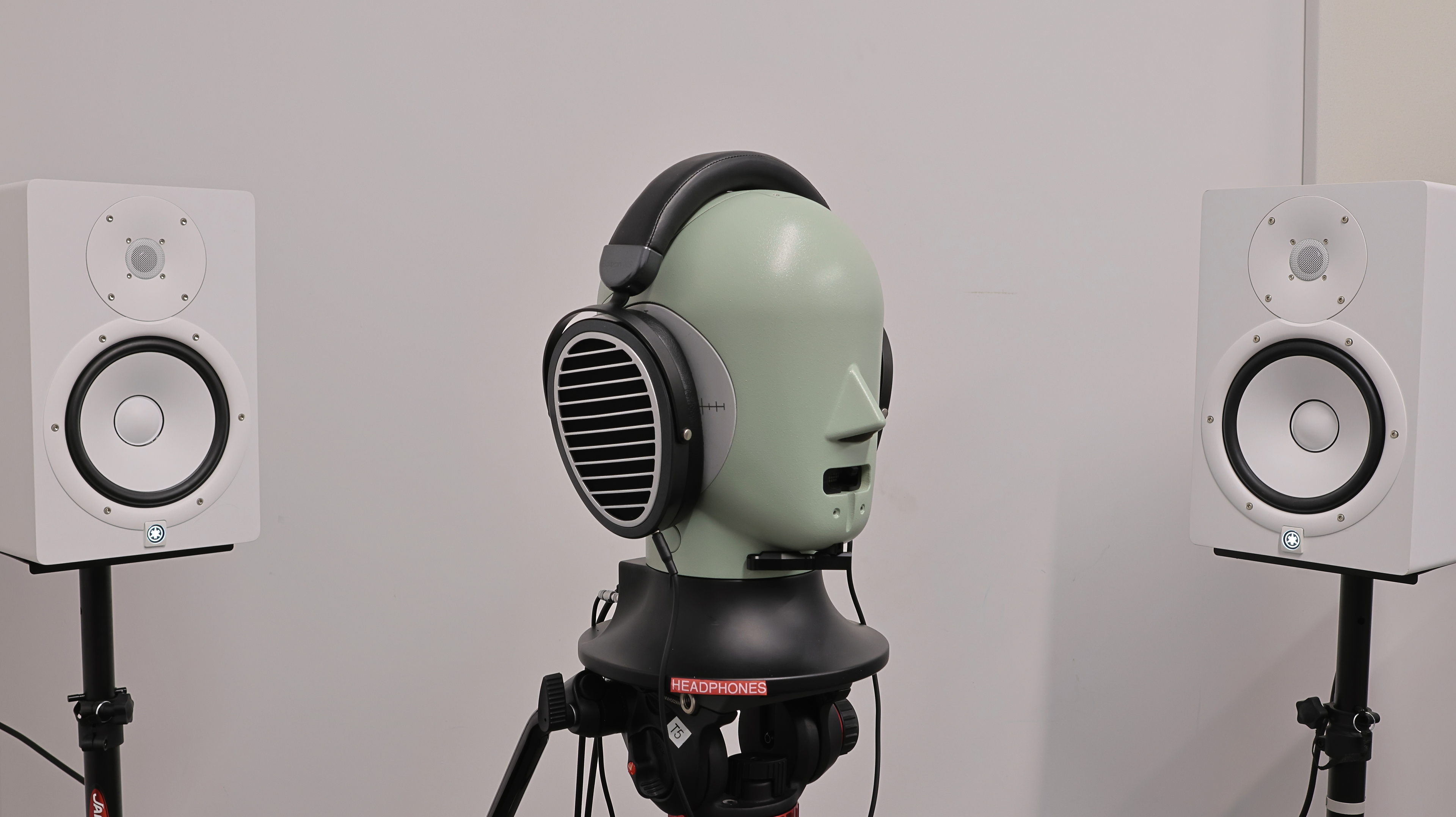 perceptual testing image