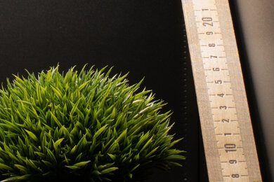 RICOH GR III Sharpness Scene Crop