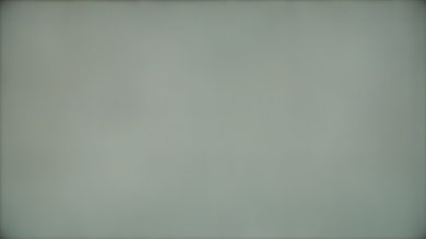 Sony X940E 50% Uniformity Picture