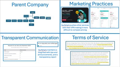 Surfshark VPN Company Picture
