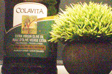 Olympus OM-D E-M10 Mark IV Noise Scene Crop