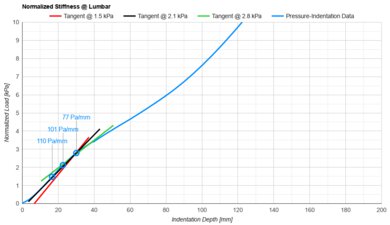 Plank Extra Firm Luxe Lumbar Firmness
