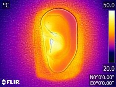 Oppo PM-3 Breathability After Picture