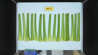 GE Profile PGE29BYTFS Produce Picture (After)