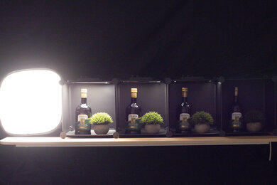 Canon EOS 90D Dynamic Range Scene