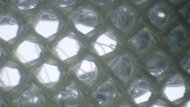 Saucony Endorphin Azura Upper Microscope Photo