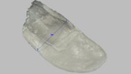 Brooks Revel 9 Arch Fit Photo