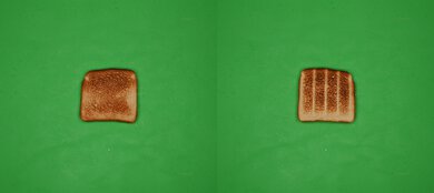 Dash Mini DMTO100 Unprocessed Toast Picture