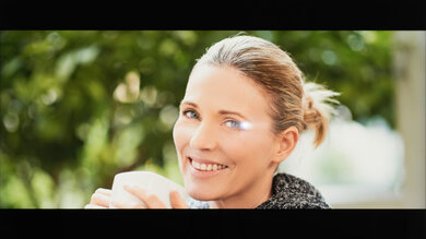 Sony X95L Reflections Picture