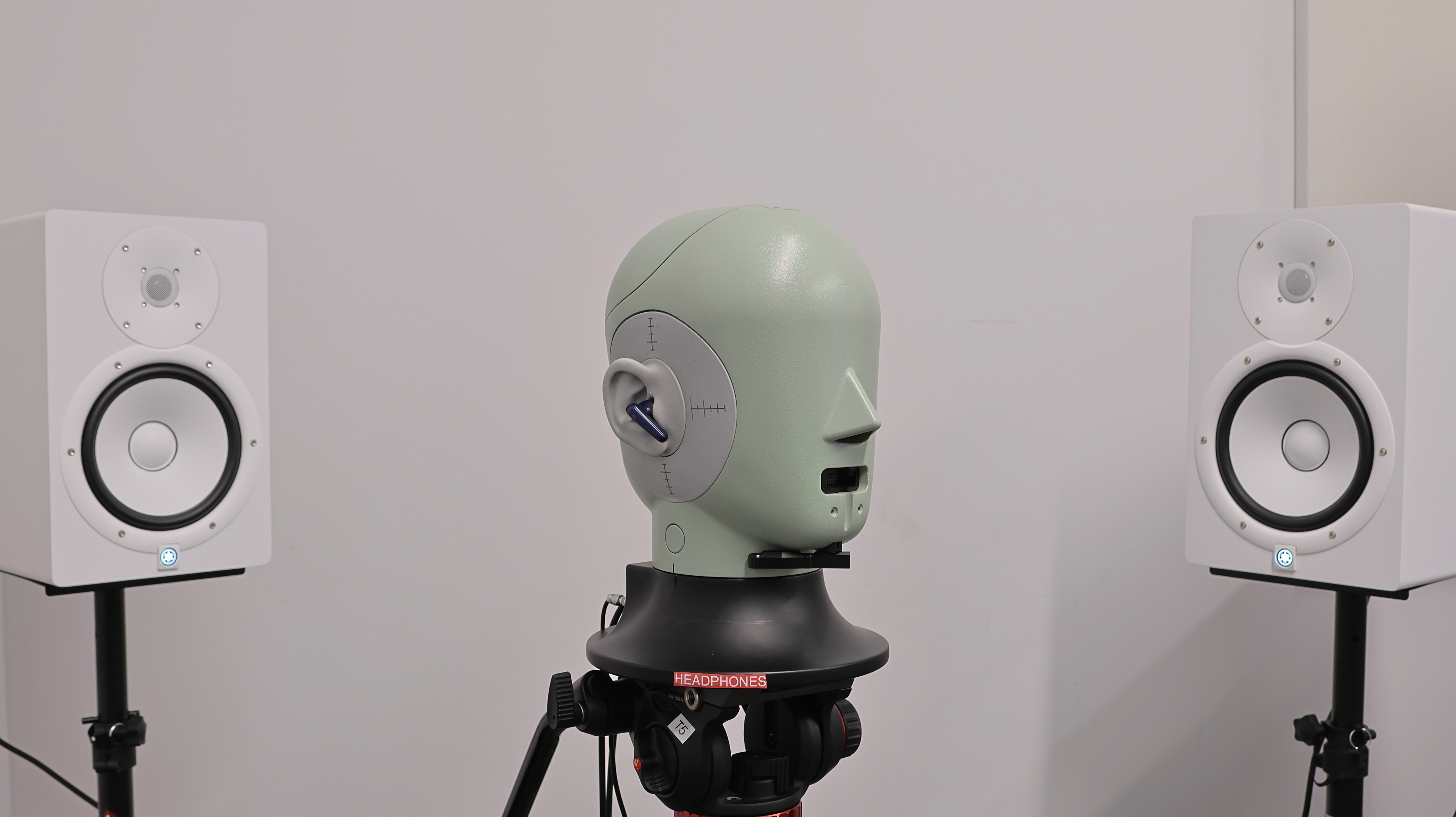 perceptual testing image