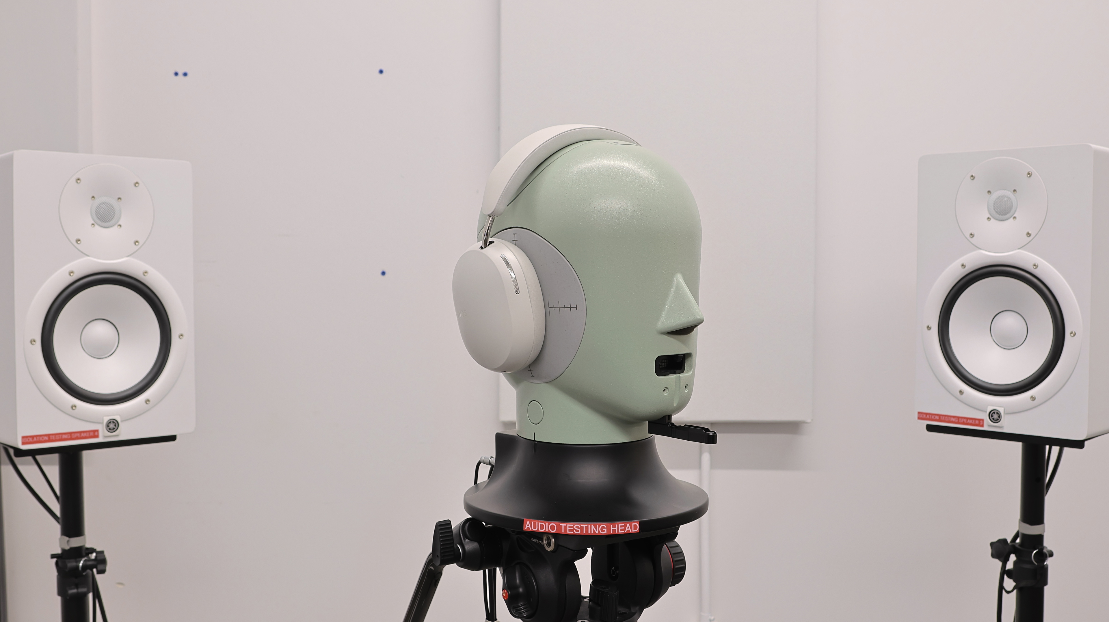 perceptual testing image