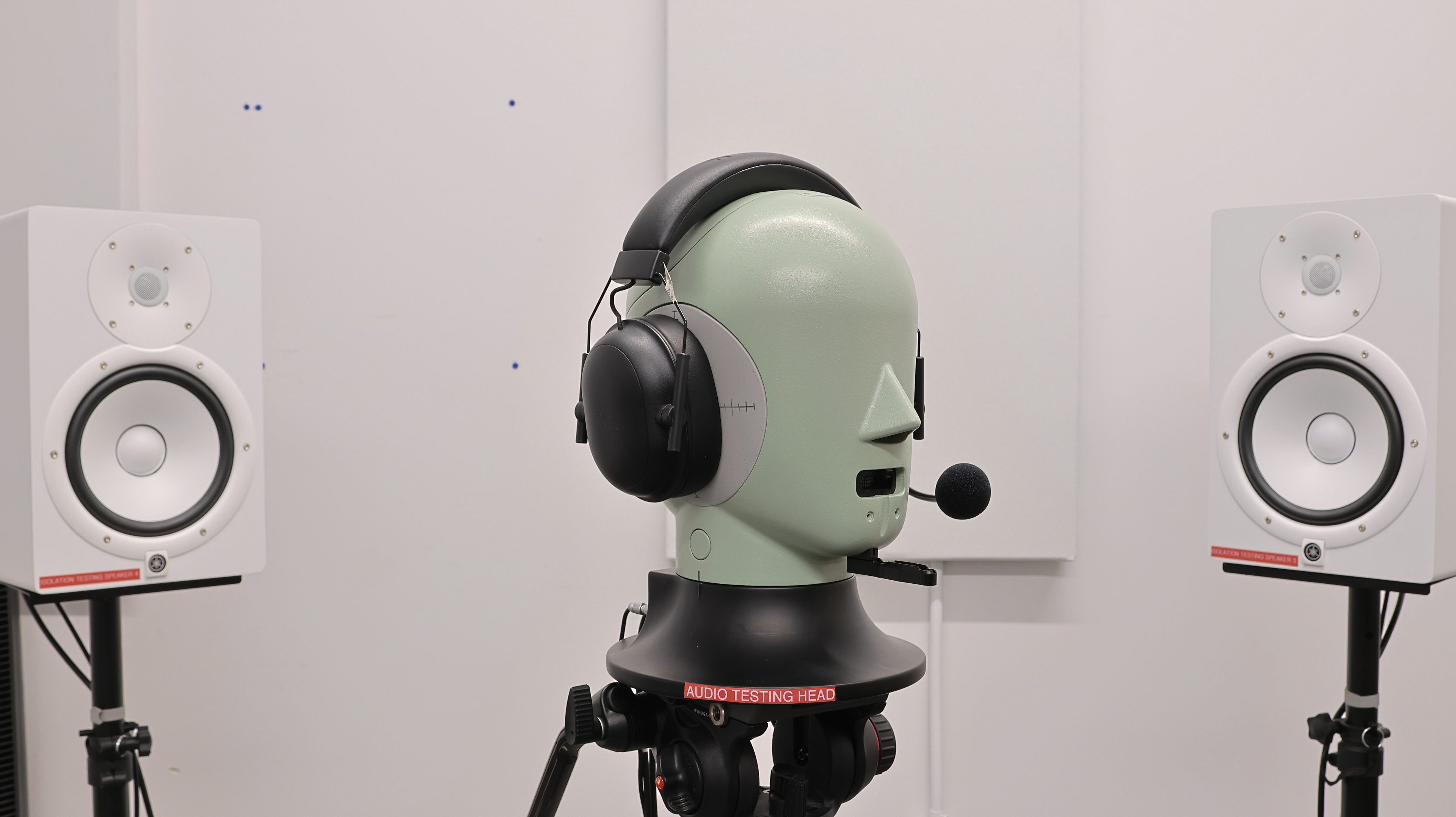 perceptual testing image