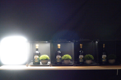 Canon PowerShot G5 X Mark II Dynamic Range Scene