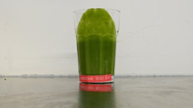 Vitamix VX1 Fibrous Ingredients (Small Batches) Photo