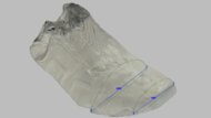 Speedland RX:PNW Forefoot Width Photo