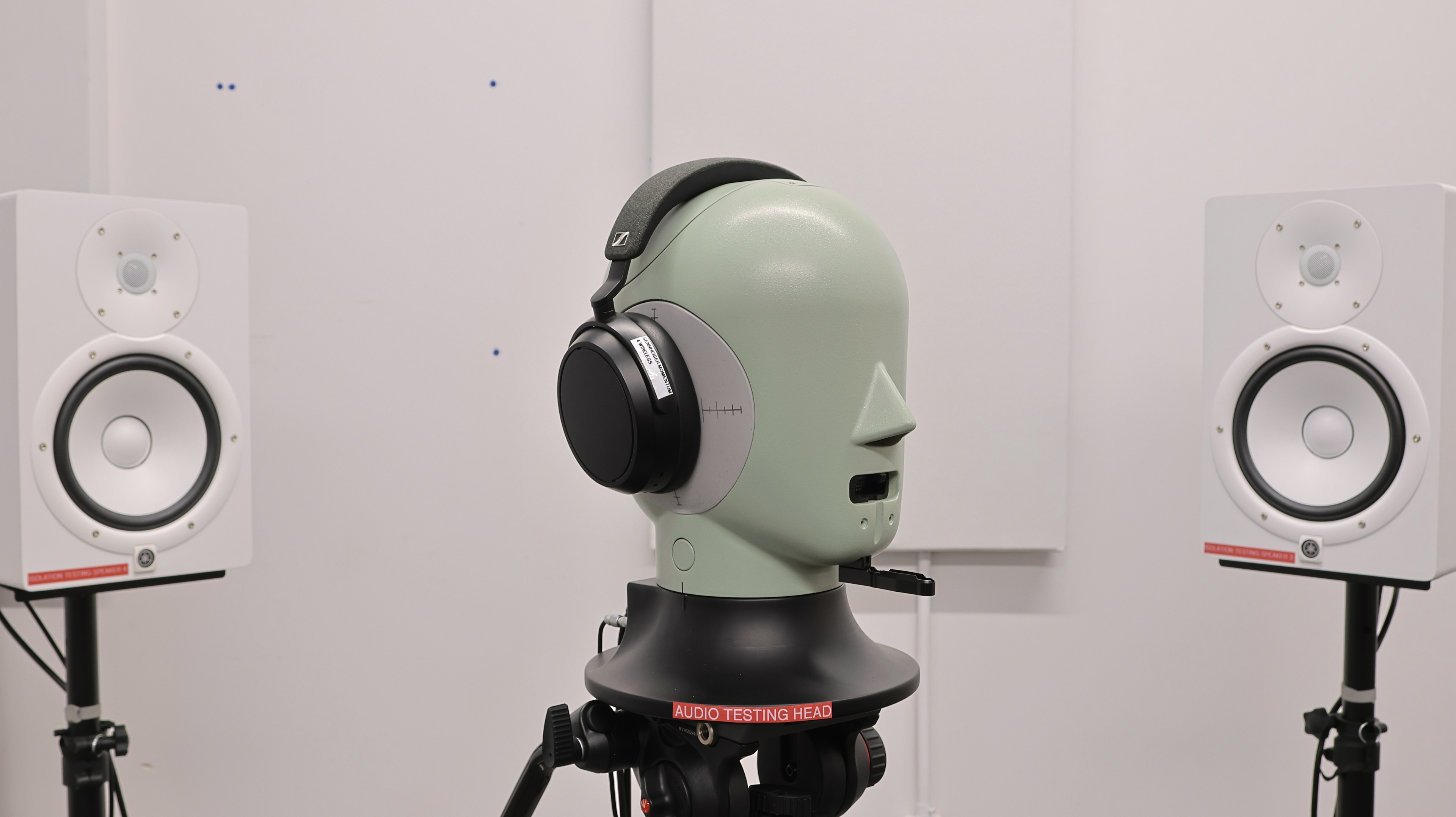 perceptual testing image