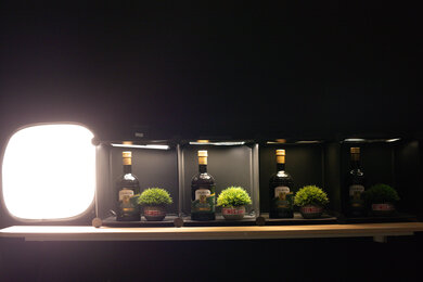 Panasonic LUMIX S1RII Dynamic Range Scene