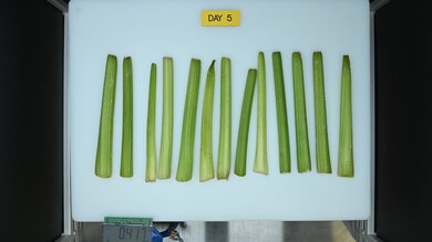 LG STUDIO SRFB27W3 Produce Picture (After)