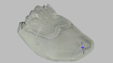 Brooks Adrenaline GTS 25 Forefoot Height Photo