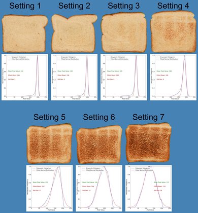Sur La Table Touchscreen 2-Slice Toaster Toasting Range Photo