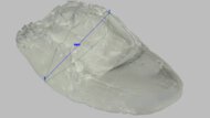 Nike Downshifter 13 Arch Fit Photo