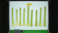 LG LS27T3230S Produce Picture (After)