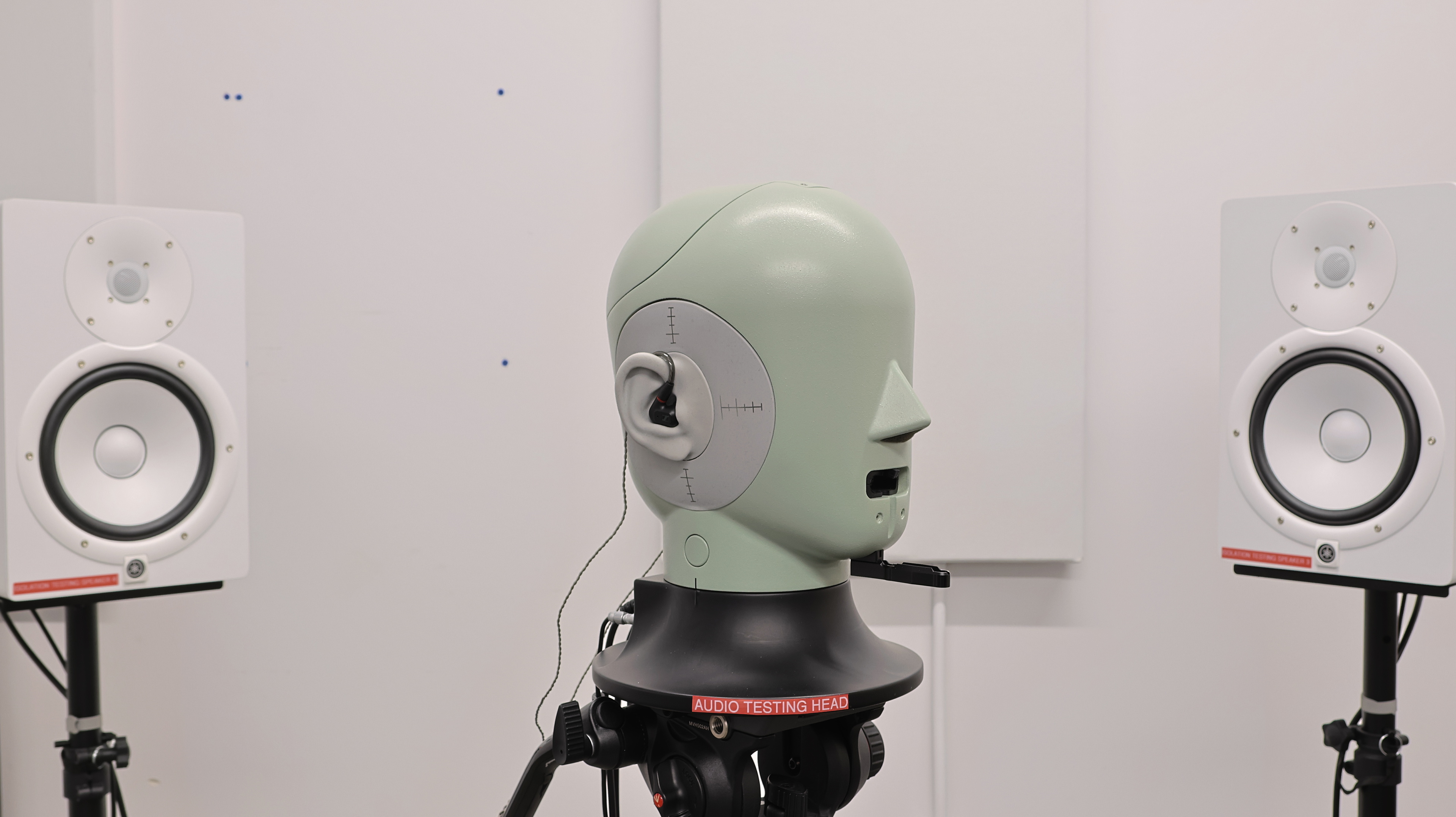perceptual testing image