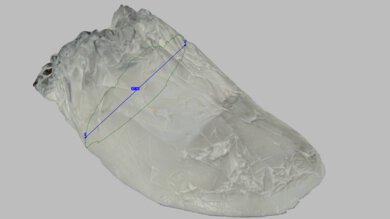 R.A.D SYNTH Arch Fit Photo