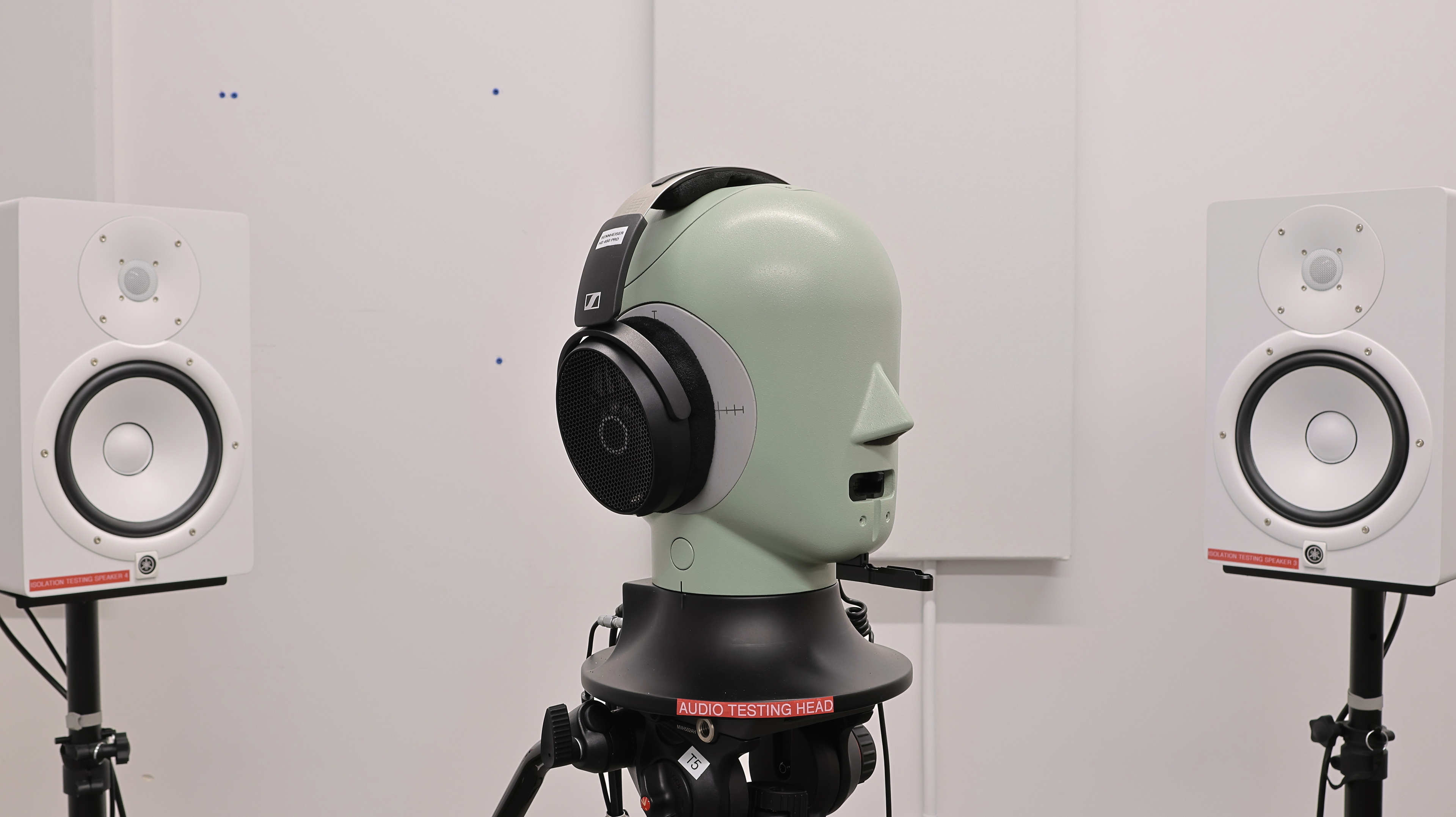 perceptual testing image