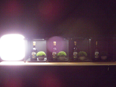 Nikon COOLPIX A1000 Dynamic Range Scene