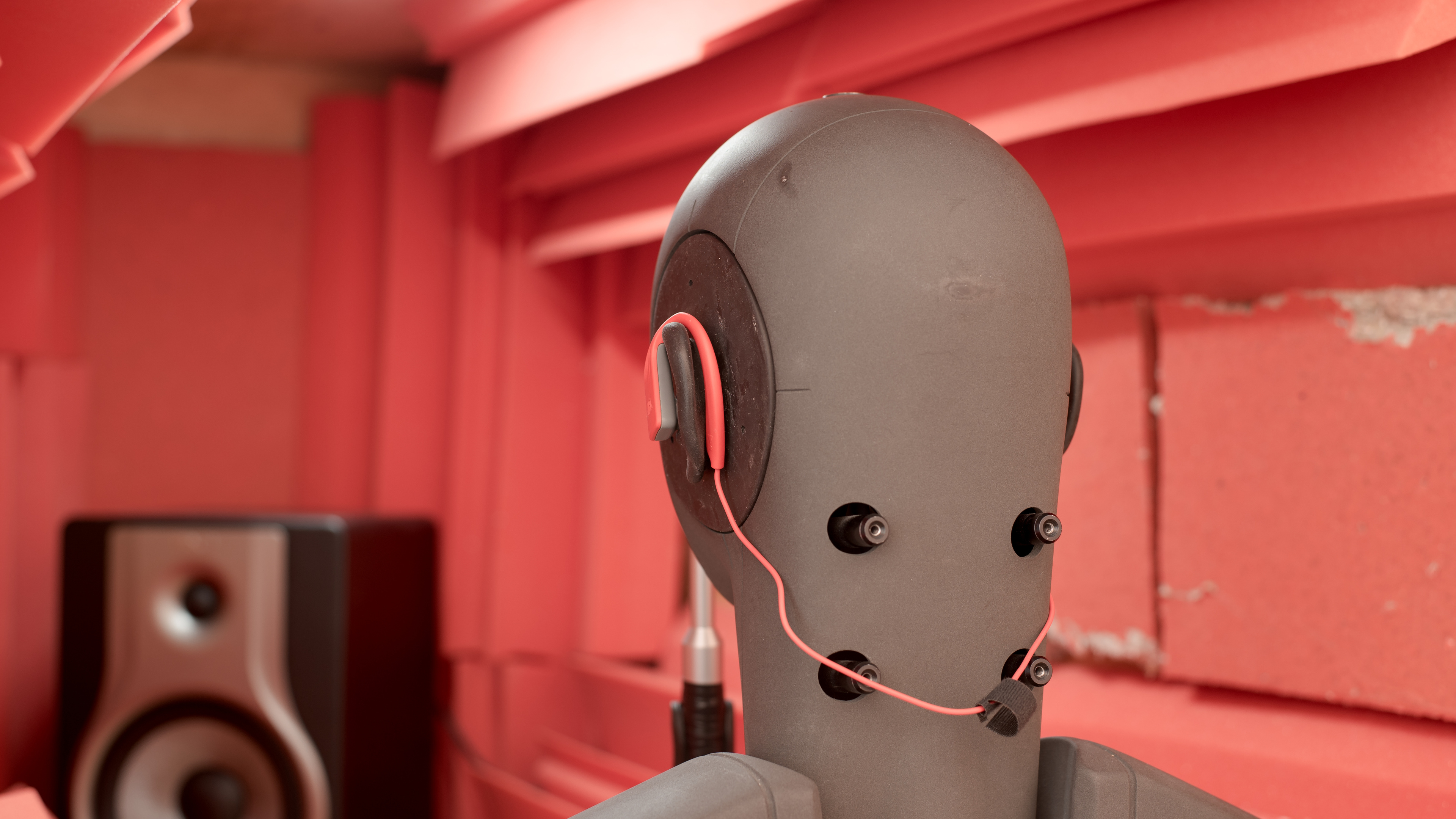 perceptual testing image