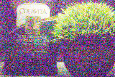 Nikon COOLPIX A1000 Noise Scene Crop