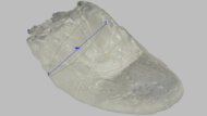 Brooks Anthem 7 Arch Fit Photo