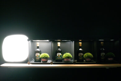 Panasonic LUMIX S9 Dynamic Range Scene