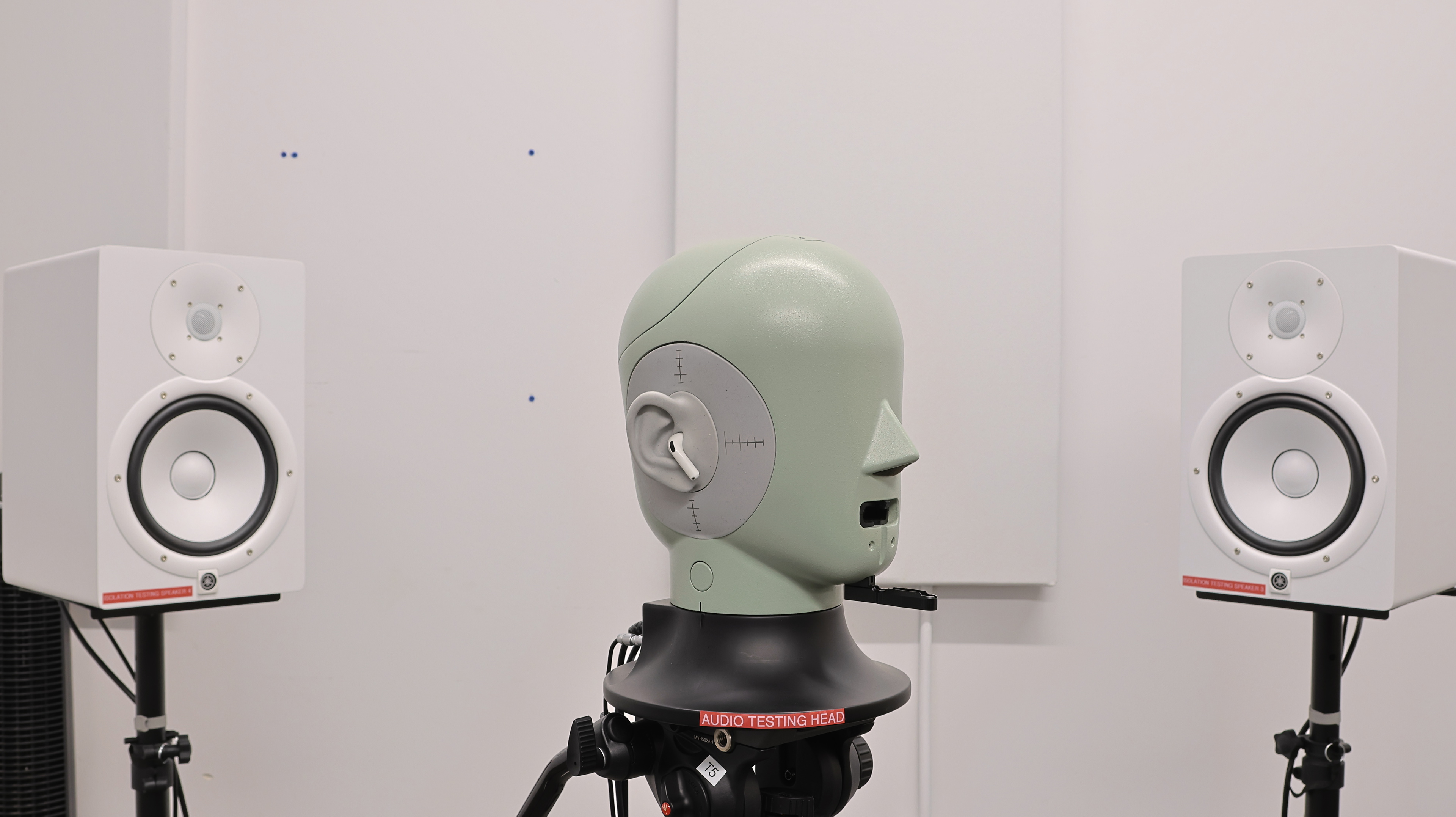 perceptual testing image