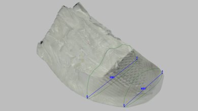 Nike Pegasus Premium Forefoot Width Photo