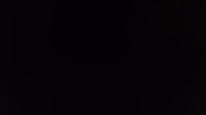 LG C4 42 OLED Black Level Raise Picture