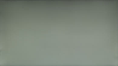 Dell S2417DG 50% Uniformity Picture