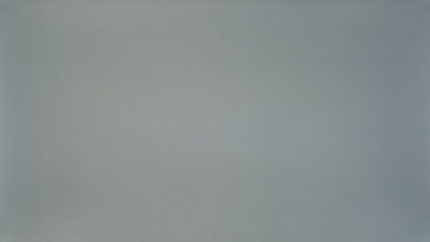 ASUS TUF VG27AQ 50% Uniformity Picture