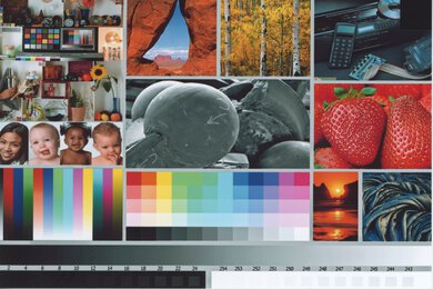 HP ENVY Photo 6255 Side By Side Print/Photo