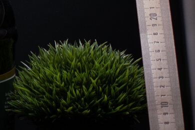 Fujifilm X-T5 Sharpness Scene Crop